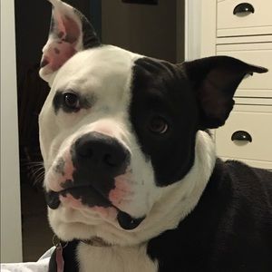 Meet your Posher, Katy